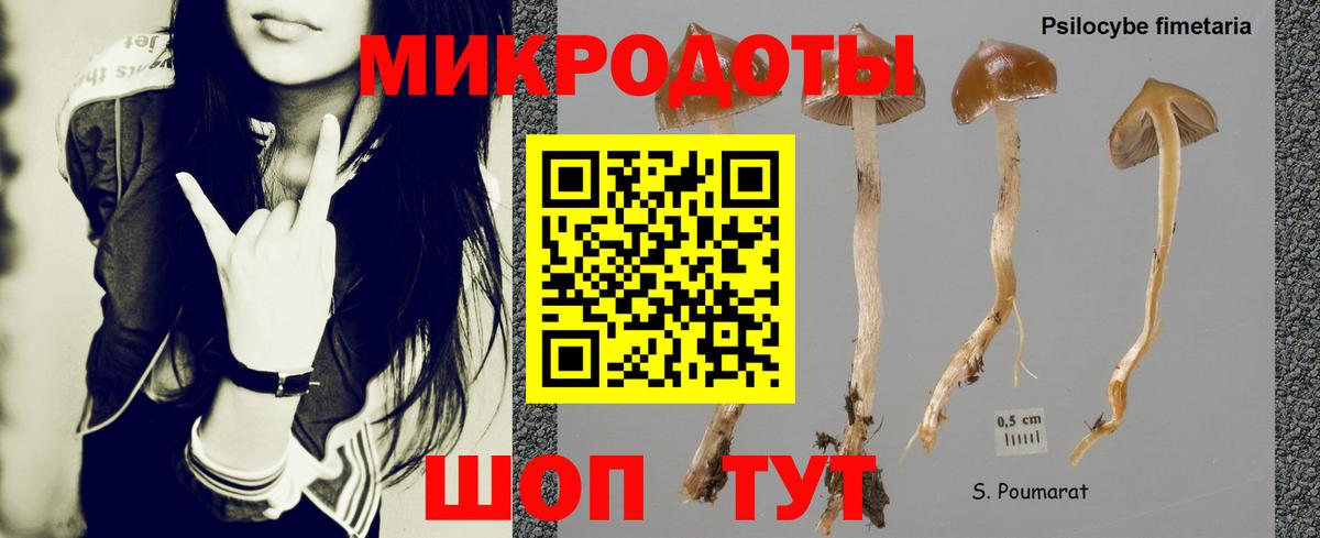Галлюциногенные грибы Psilocybine cubensis Красноуфимск